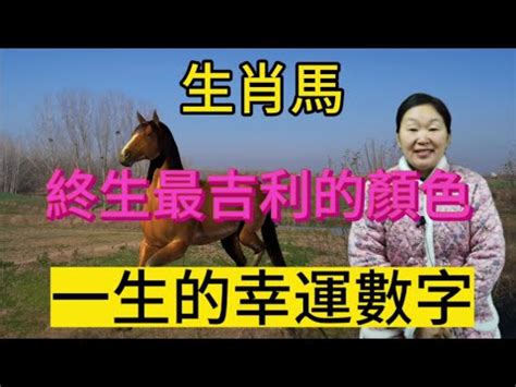 馬的幸運數字|屬馬的幸運數字是什麼？揭開生肖馬的數字奧秘